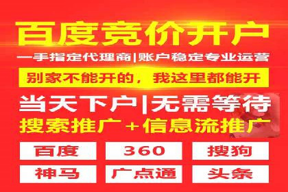 SEM托管成功案例：揭秘高效广告投放策略